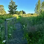 Serendipity Eesti