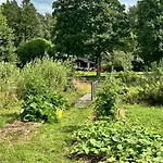 Serendipity Eesti *