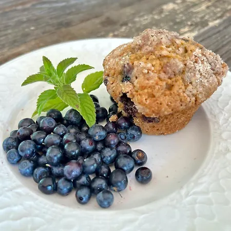 Serendipity Eesti Panzió Jaagupi