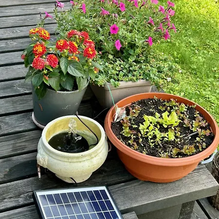 Serendipity Eesti * Jaagupi