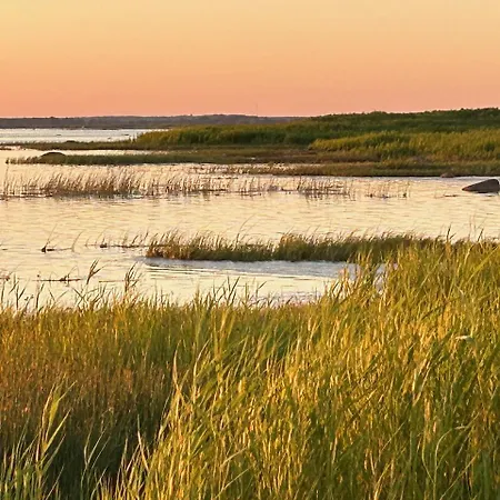Serendipity Eesti Jaagupi