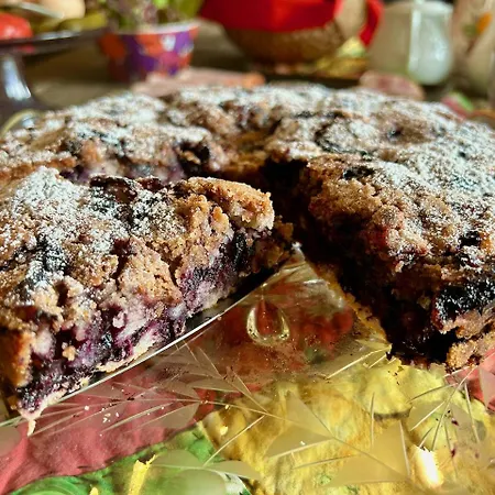 Serendipity Eesti Bed & Breakfast