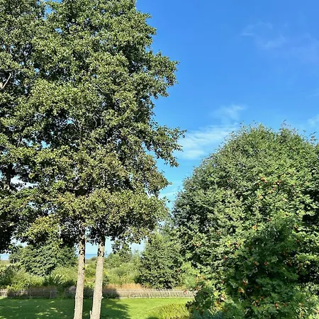 Bed & Breakfast Serendipity Eesti