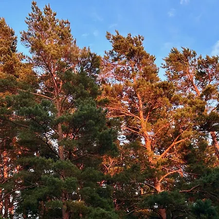 Serendipity Eesti * Jaagupi