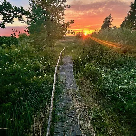 Serendipity Eesti Panzió *