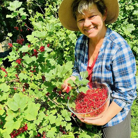 Serendipity Eesti Bed & Breakfast