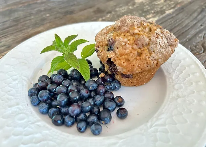 Serendipity Eesti B&B Jaagupi