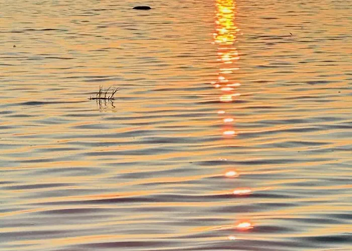 B&B Serendipity Eesti *