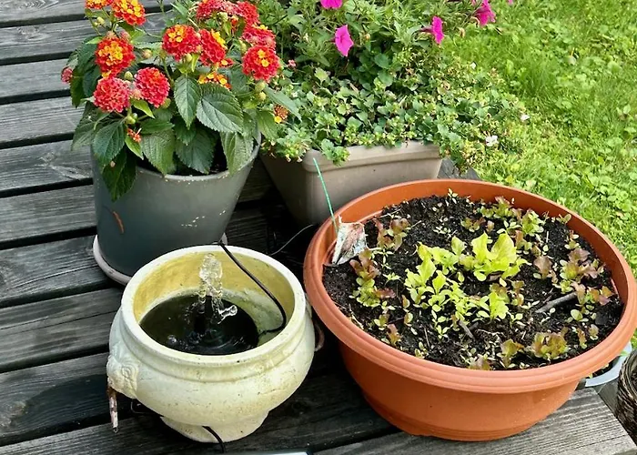 Serendipity Eesti * Jaagupi