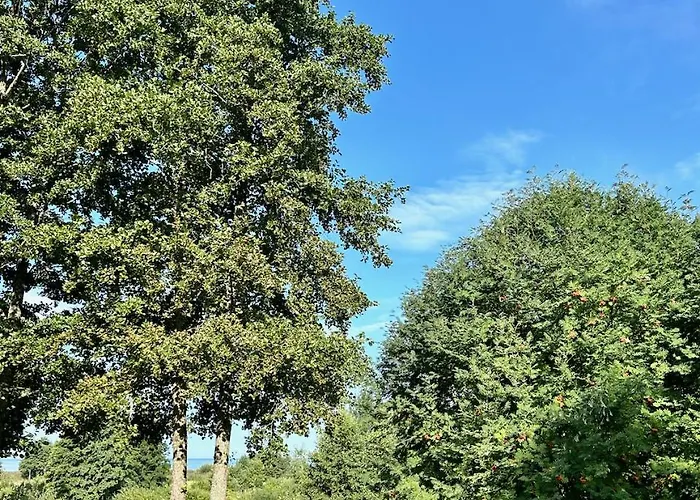 B&B Serendipity Eesti