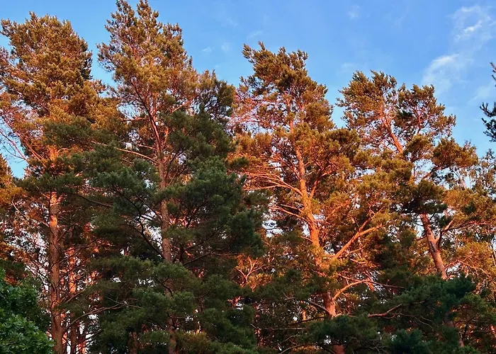 Serendipity Eesti * Jaagupi