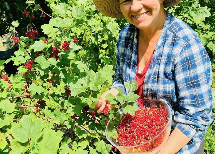 Serendipity Eesti B&B